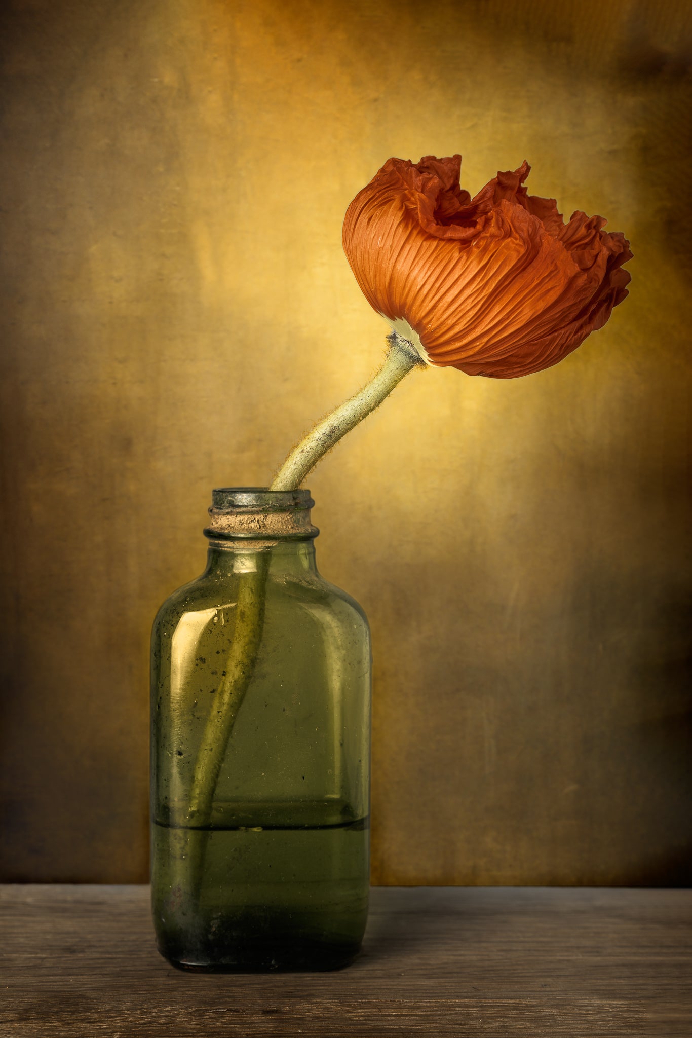 Fine art flower photograph of a red poppy in a vintage bottle titled "Hope is a Journey" by Cameron Dreaux of Dreaux Fine Art.