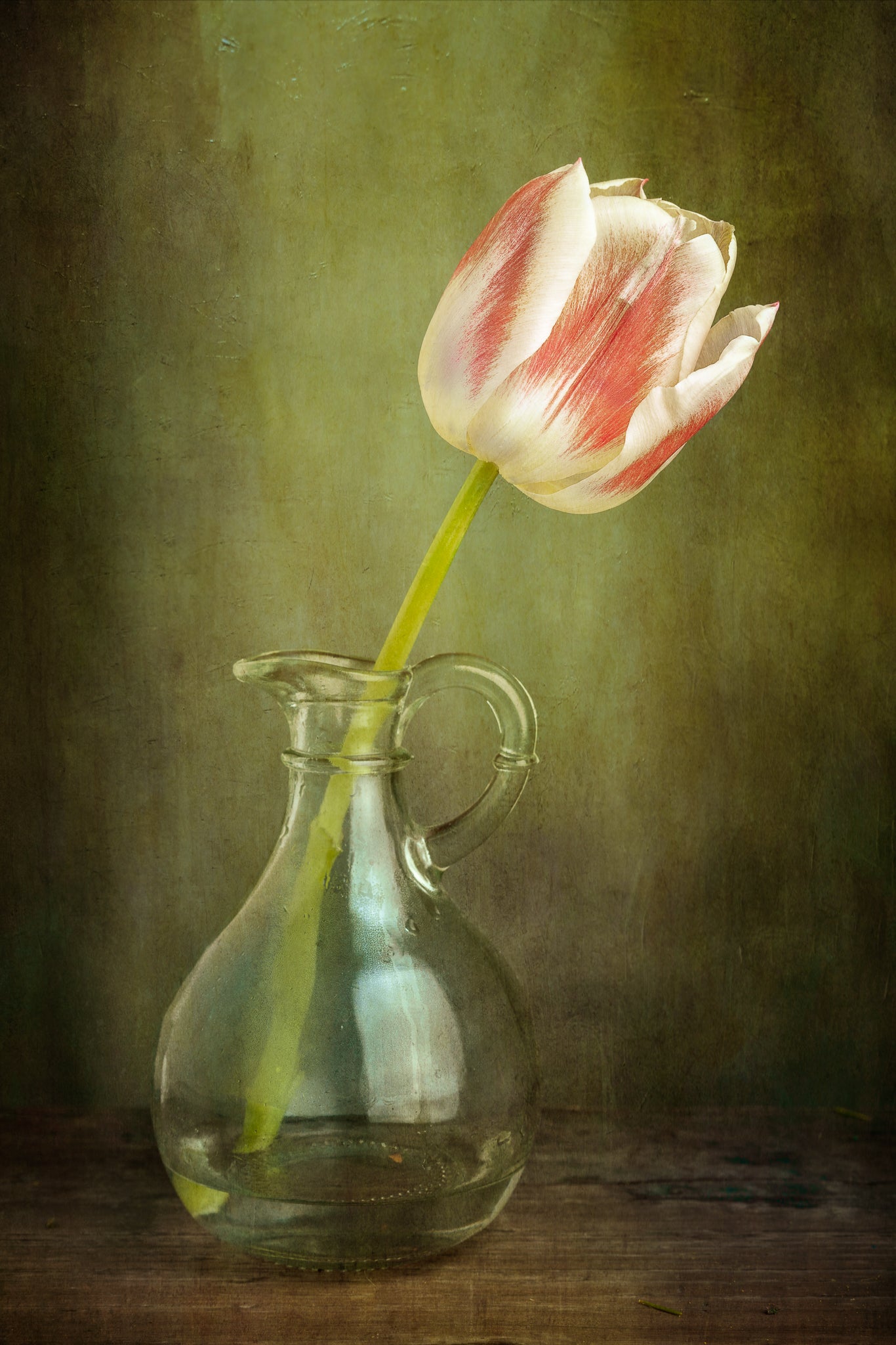 Fine art flower photograph of a tulip in a jar titled "Tulip in Pitcher" by Cameron Dreaux of Dreaux Fine Art.