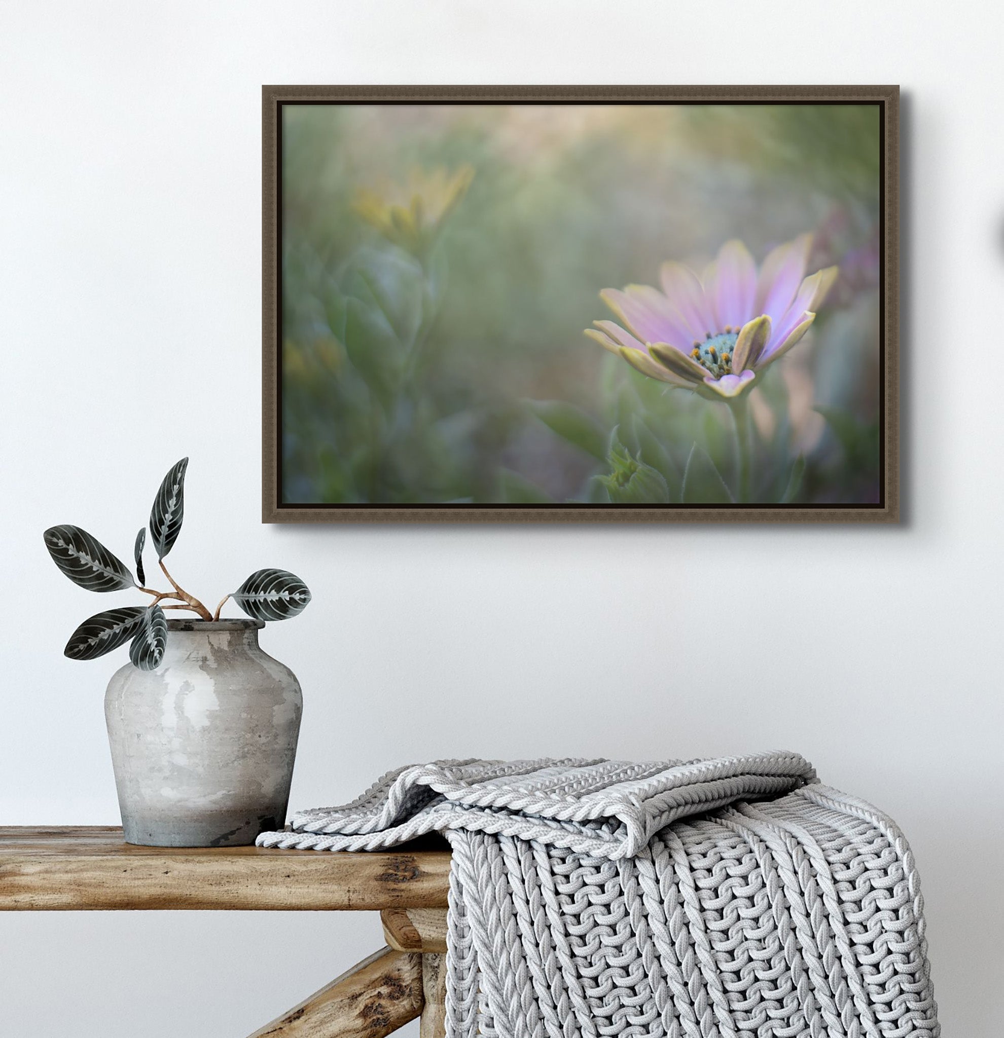 Photo mounted on the wall of a room. The photo is framed with Natural Barnwood Float Frame. There is a desk below the photo. The Photograph is by Cameron Dreaux of Dreaux Fine art. The photo is a purple coastal flower on a backdrop of green. Sun is shining some light through at the top of the photograph,