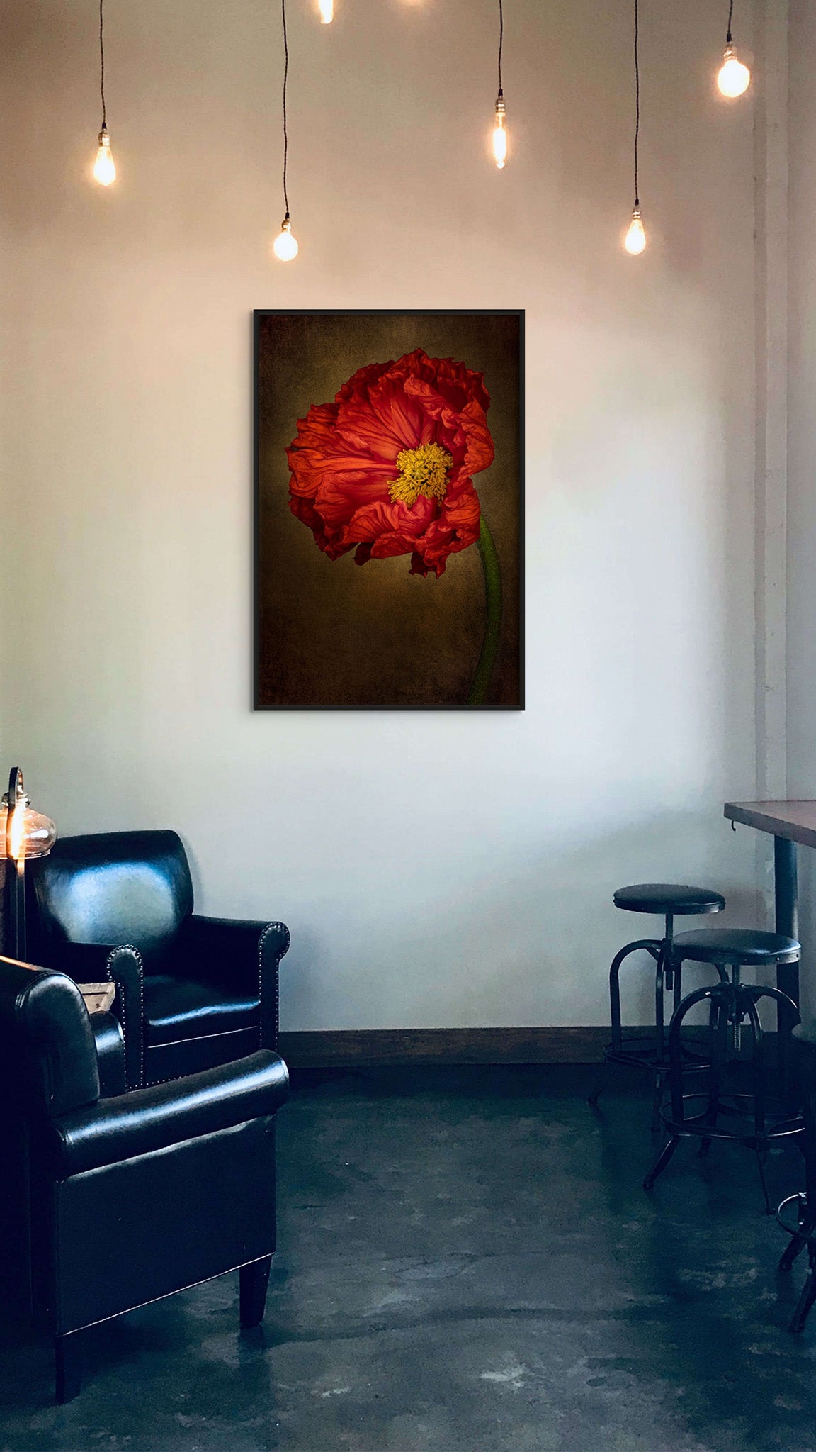 Picture hanging on the wall of a coffee shop. The picture is a fine art flower photography titled "Confidence" by Dreaux Fine Art. 