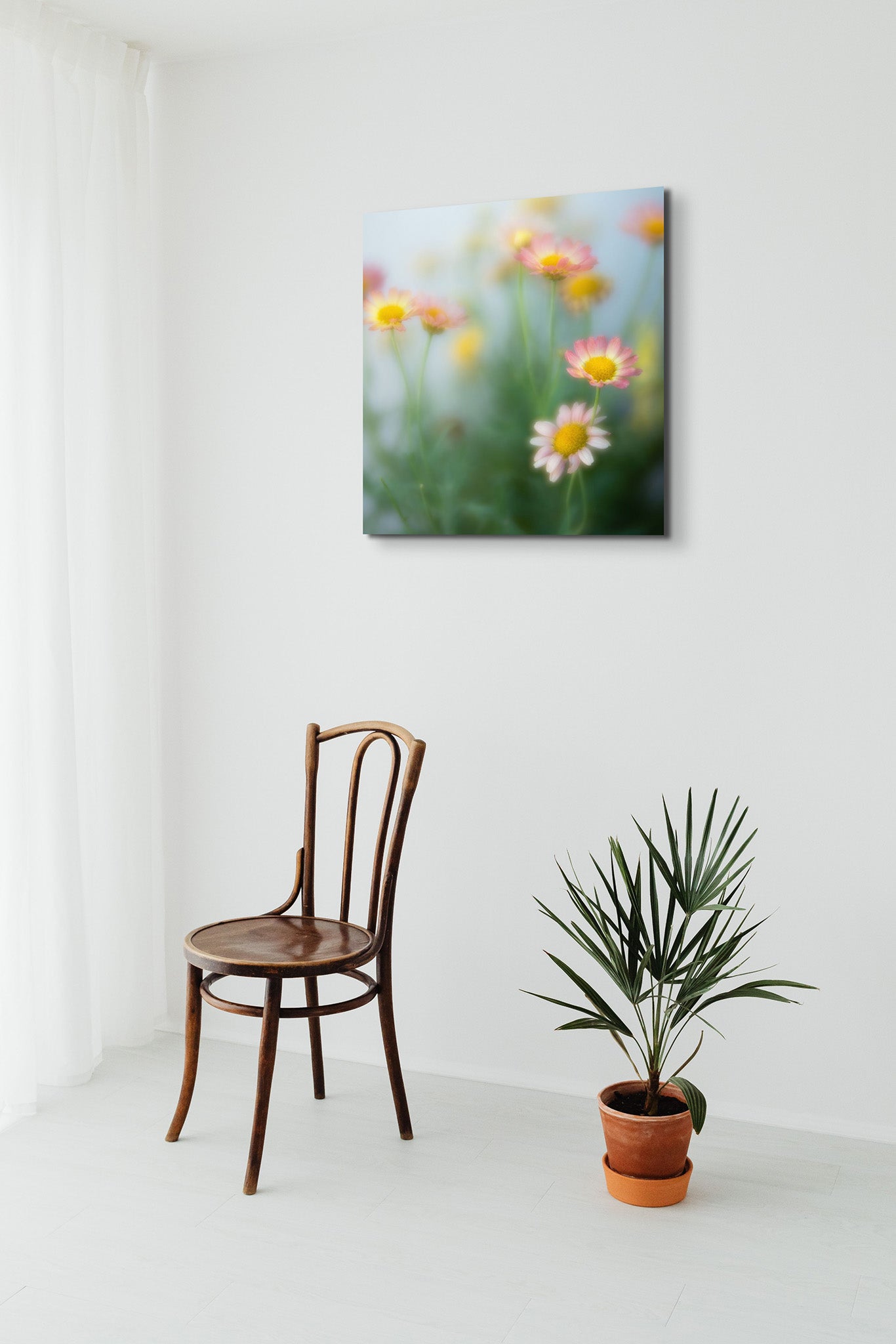 Room with a chair, plant, window, and a metal print hanging on the wall. The print hanging on the wall is a fine art photograph of pastel flowers by Cameron Dreaux. 