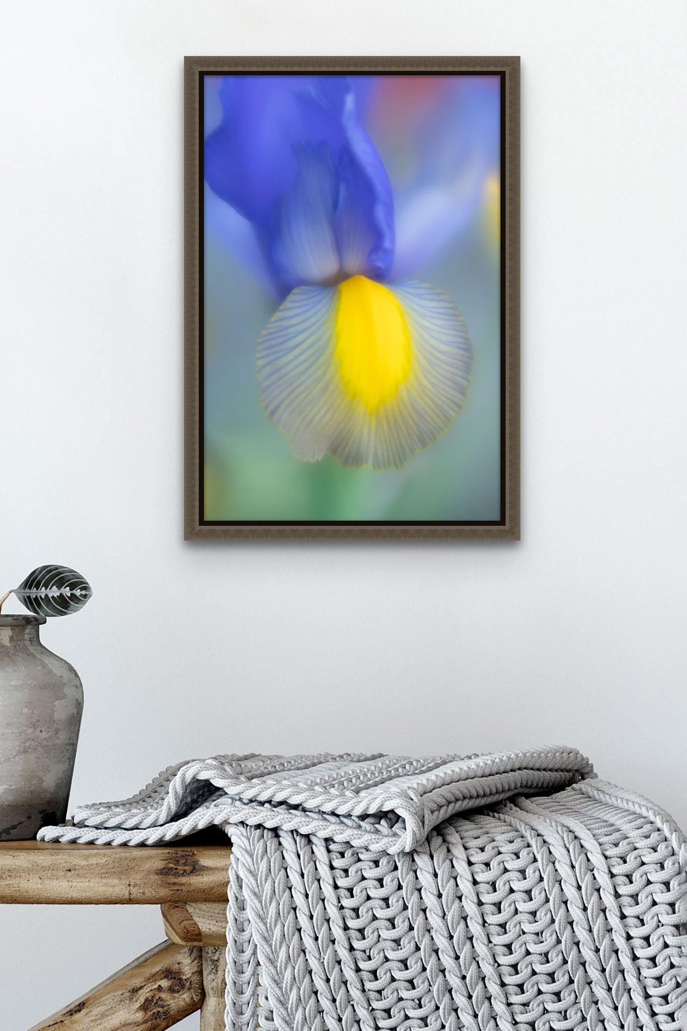Picture hanging on the wall of a room with a floating frame. There is a table below the picture. On the table are a potted plant and a knit blanket. The picture is a fine art photograph of blue and yellow Iris by Cameron Dreaux. 