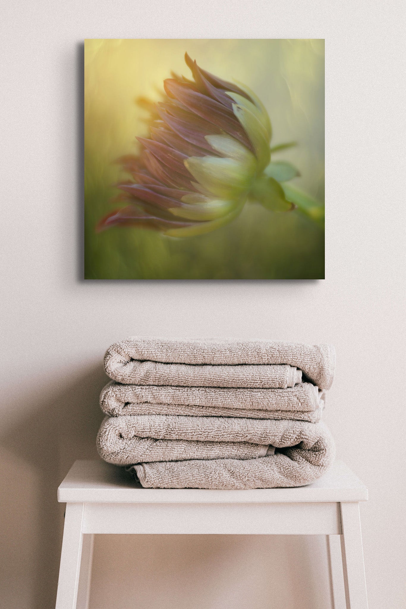 Picture hanging on the wall of a bathroom. There is a stack of towels on a stool. The picture is a fine art photograph of a Dahlia bud closed and in the sunlight. The photograph was taken by Cameron Dreaux. 