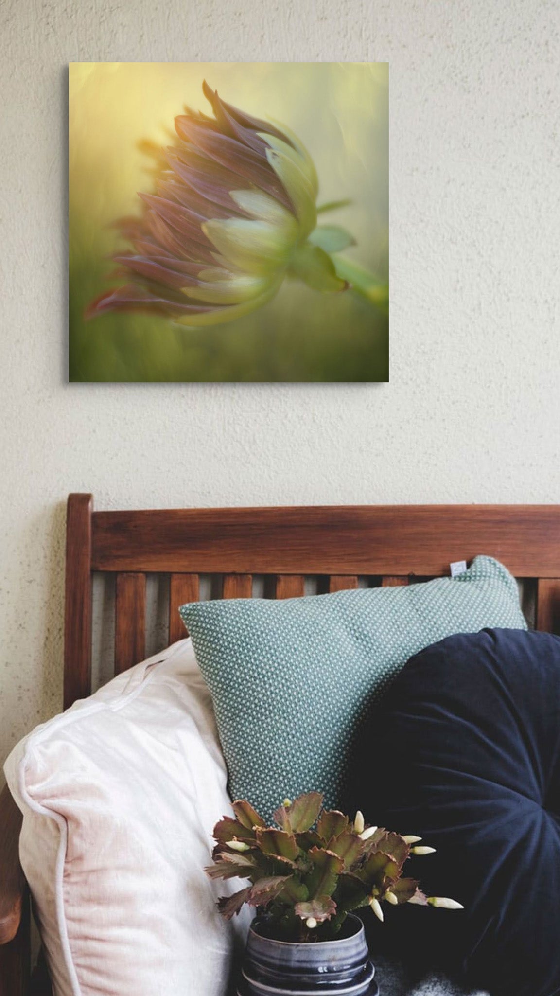 Picture hanging on the wall of a bedroom beside a bench. The bench has pillows and a plant in a pot on it. The picture is a fine art photograph of a Dahlia bud closed and in the sunlight. The photograph was taken by Cameron Dreaux. 
