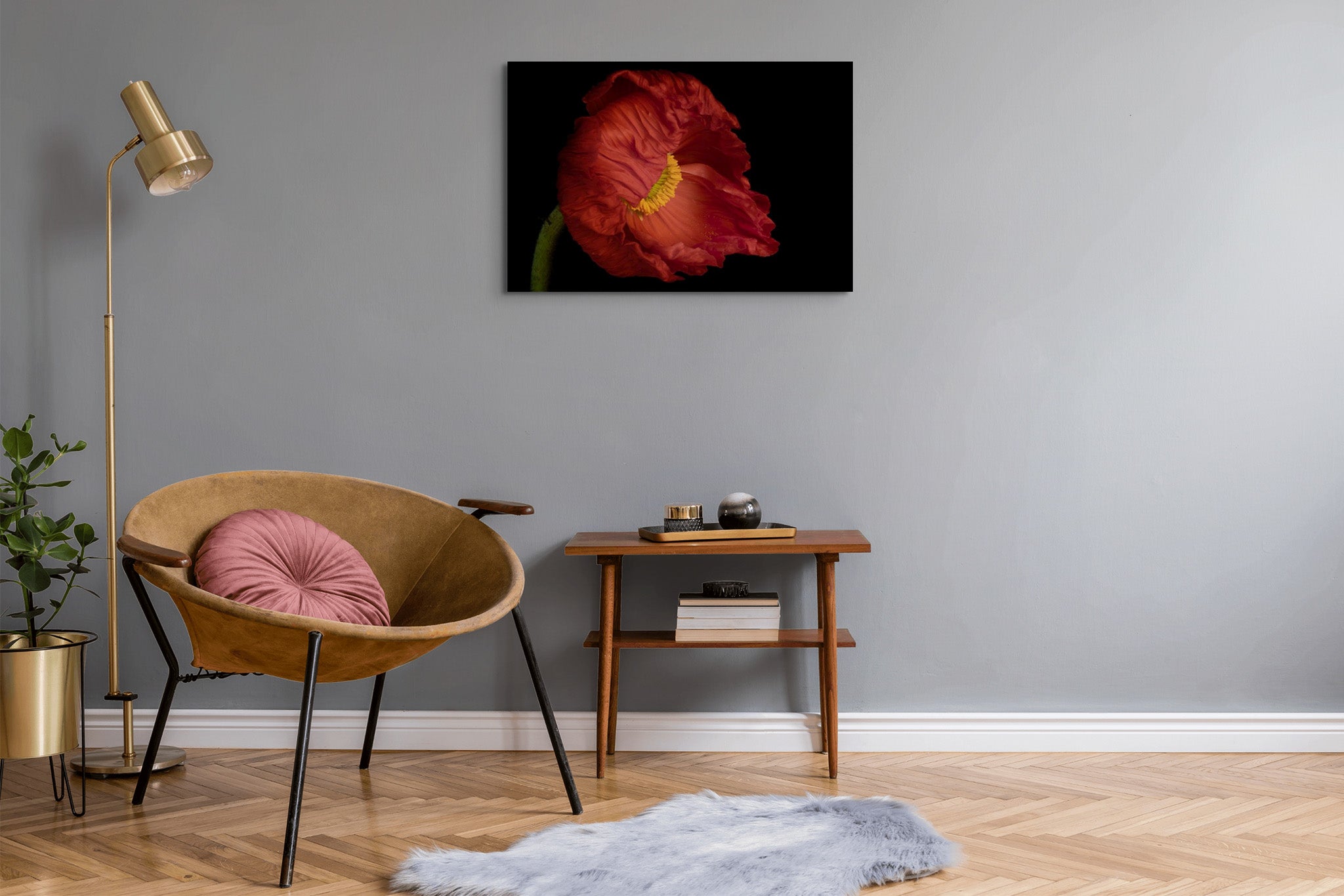 Picture hanging on the wall of a room. The picture is fine art Flower Photography of an Icelandic Poppy titled "Bashful" by Cameron Dreaux of Dreaux Fine Art. 