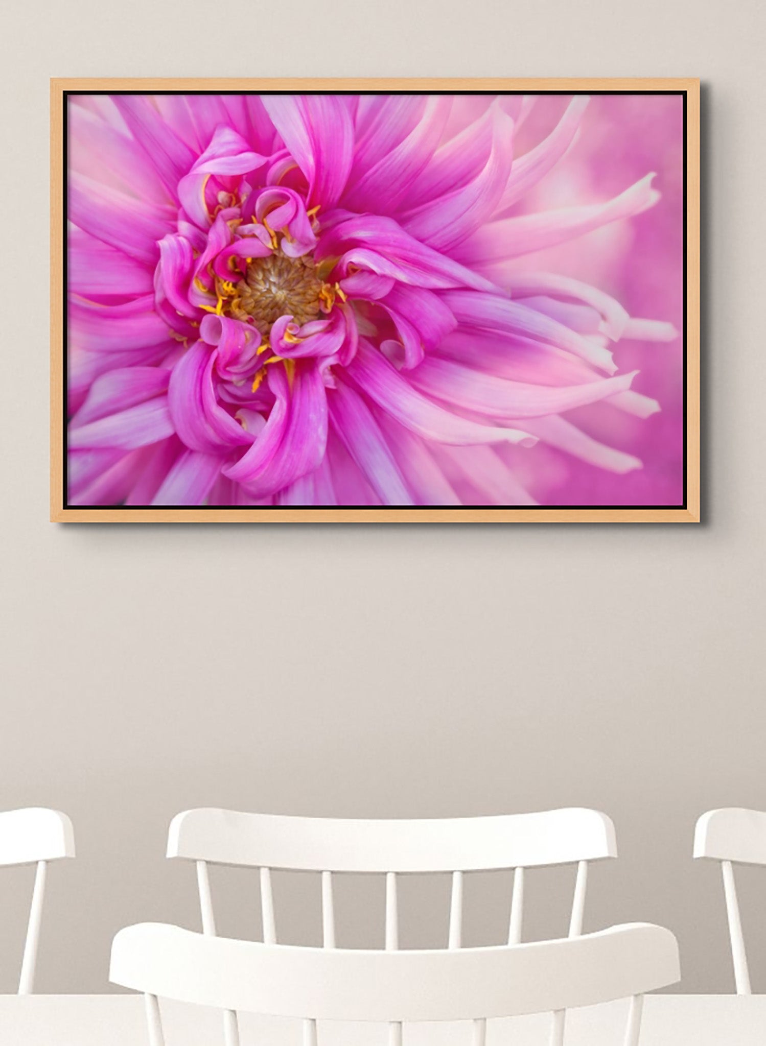 Photograph hanging on the wall of a dining room. Hanging over a table and chairs. The photograph is a vibrant macro photo of a pink dahlia by Cameron Dreaux. Printed on high-quality metal. The metal print is framed with a bamboo float frame. 