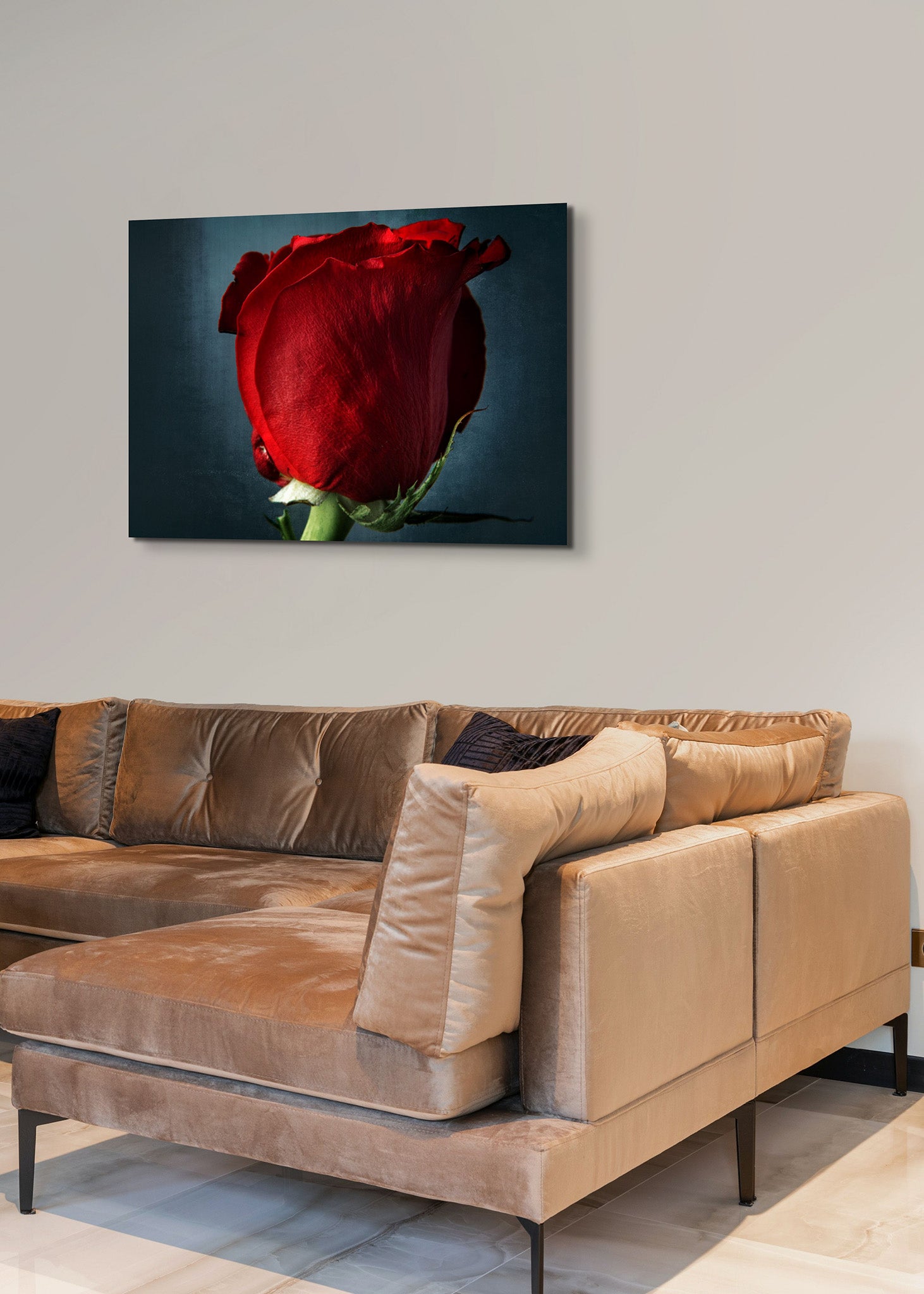 Large picture hanging on the wall of a room. There is also a tan sofa in the room. The picture is a fine art flower photograph of a red rose tilted "Dangerous" by Cameron Dreaux of Dreaux Fine Art.