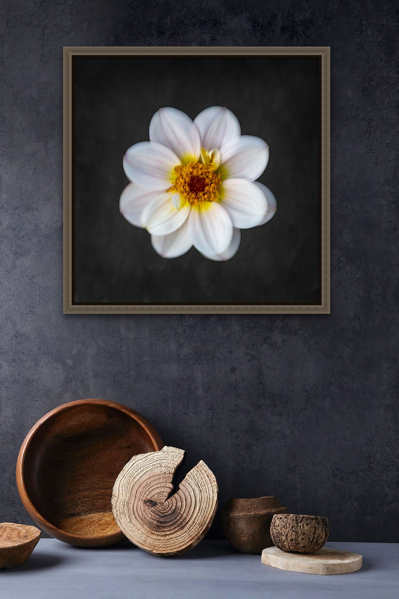 Picture on the wall of a room. The room is dark a dark hue and has wooden pottery on the floor.The picture is a fine art photograph of a white dwarf dahlia against a black background. Photo by Cameron Dreaux of Dreaux Fine Art. 