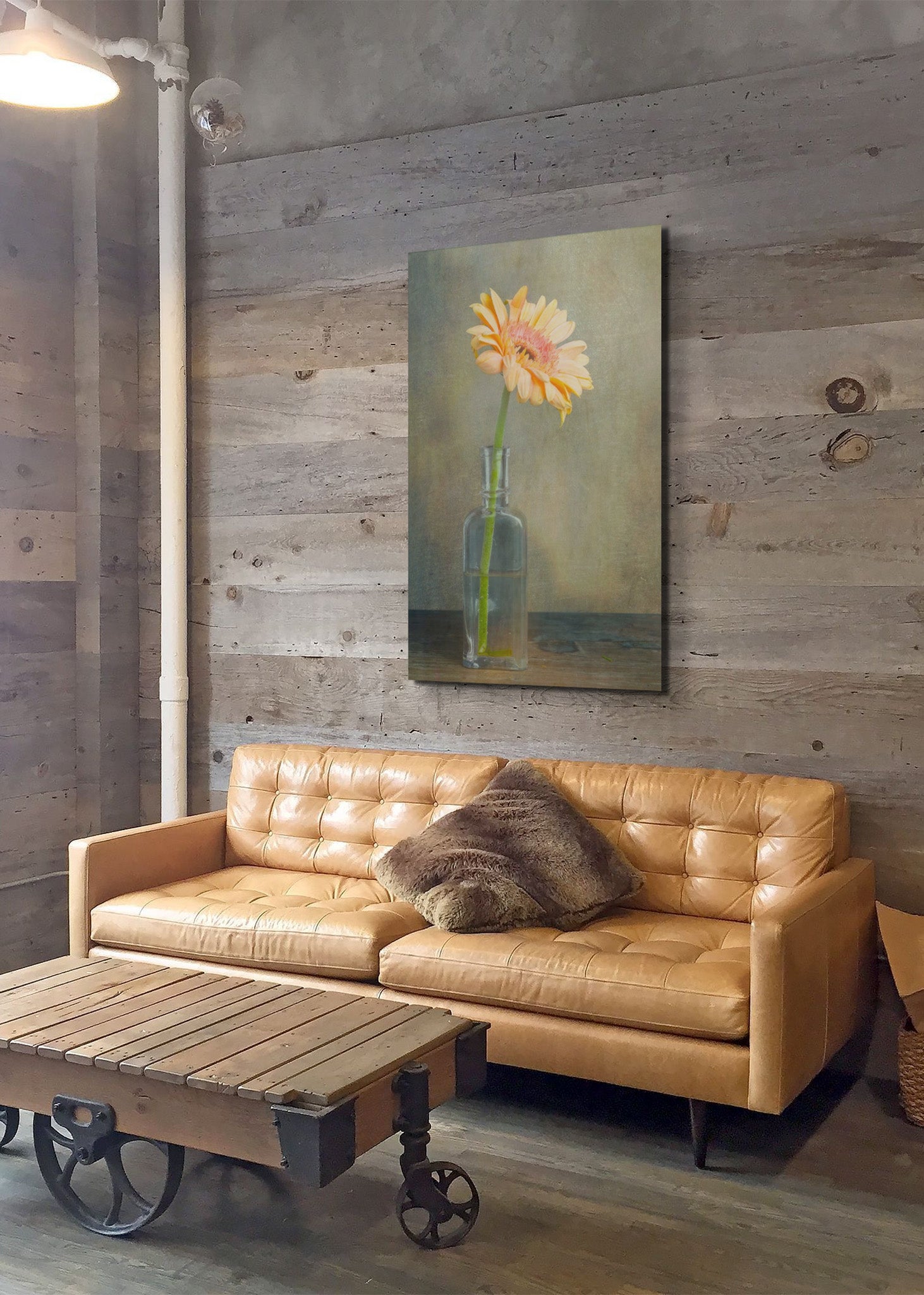 Picture hanging on the wall over a sofa. The picture is a fine art flower photograph of a Gerber daisy in an old bottle titled "Summer Day" by Cameron Dreaux of Dreaux Fine Art.