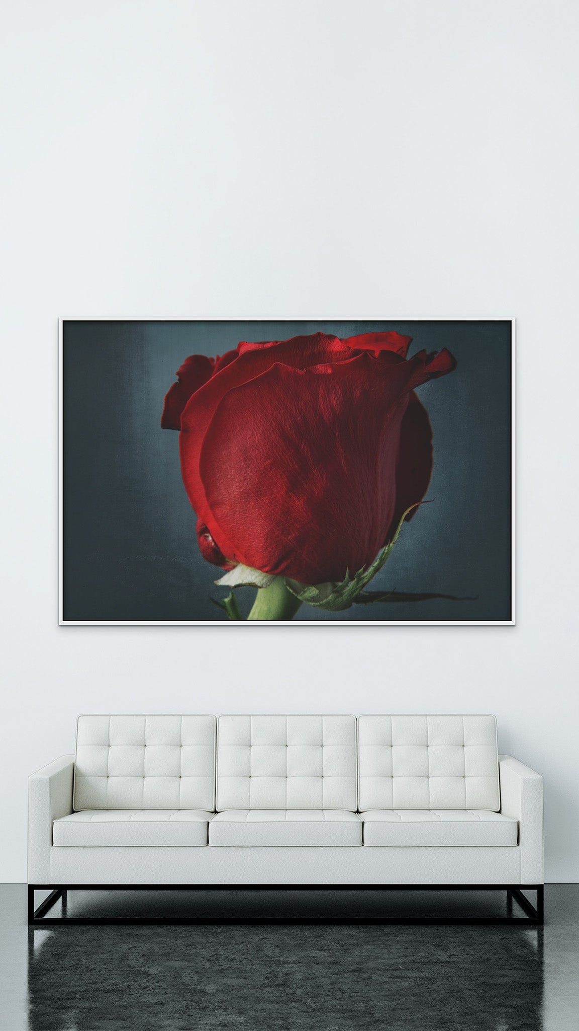 Large picture hanging on the wall of a white room. There is also a white sofa in the room. The picture is a fine art flower photography of a red rose tilted "Dangerous" by Cameron Dreaux of Dreaux Fine Art.