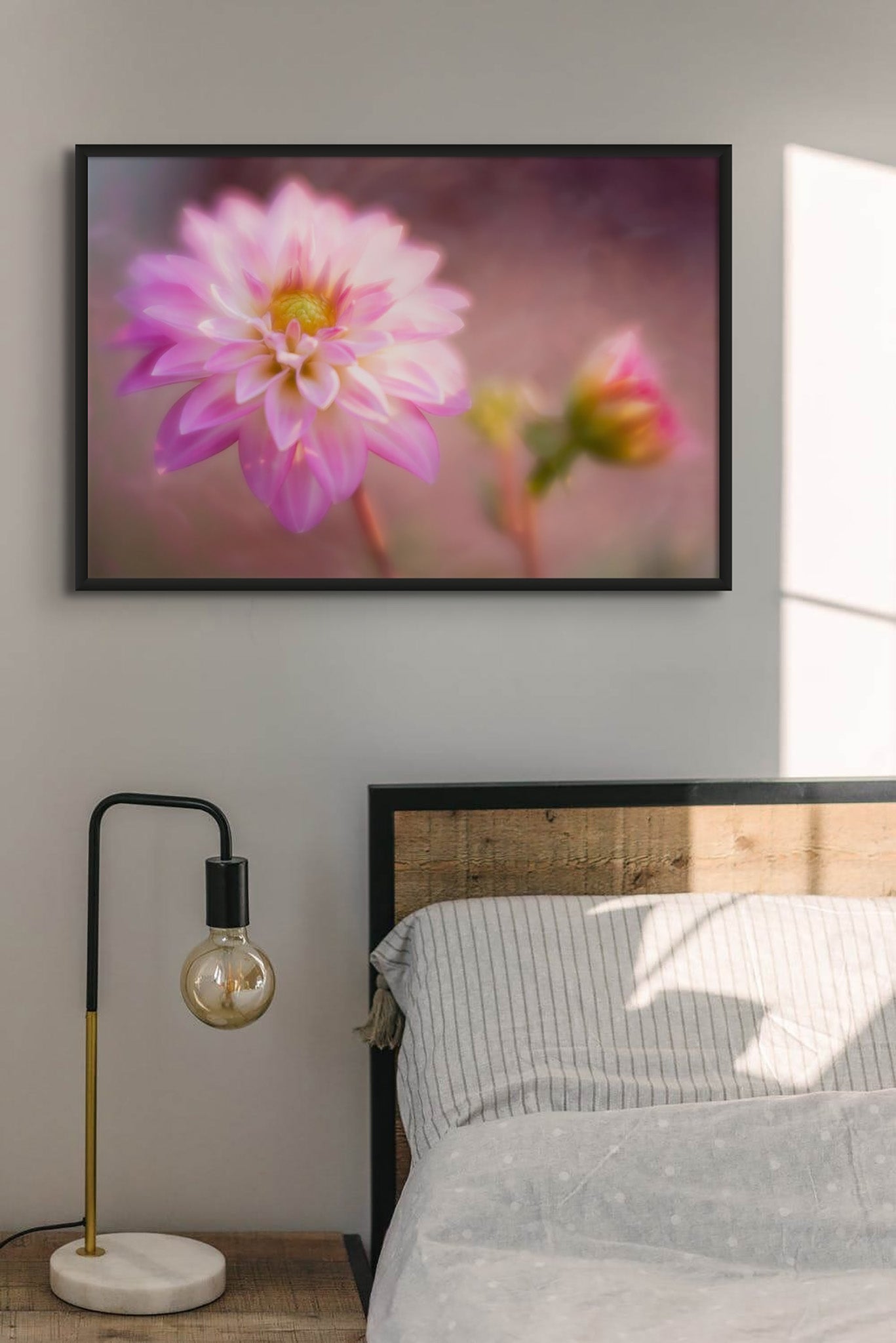 Fine art flower photography picture hanging on the wall of "For my Soul", by Cameron Dreaux. 