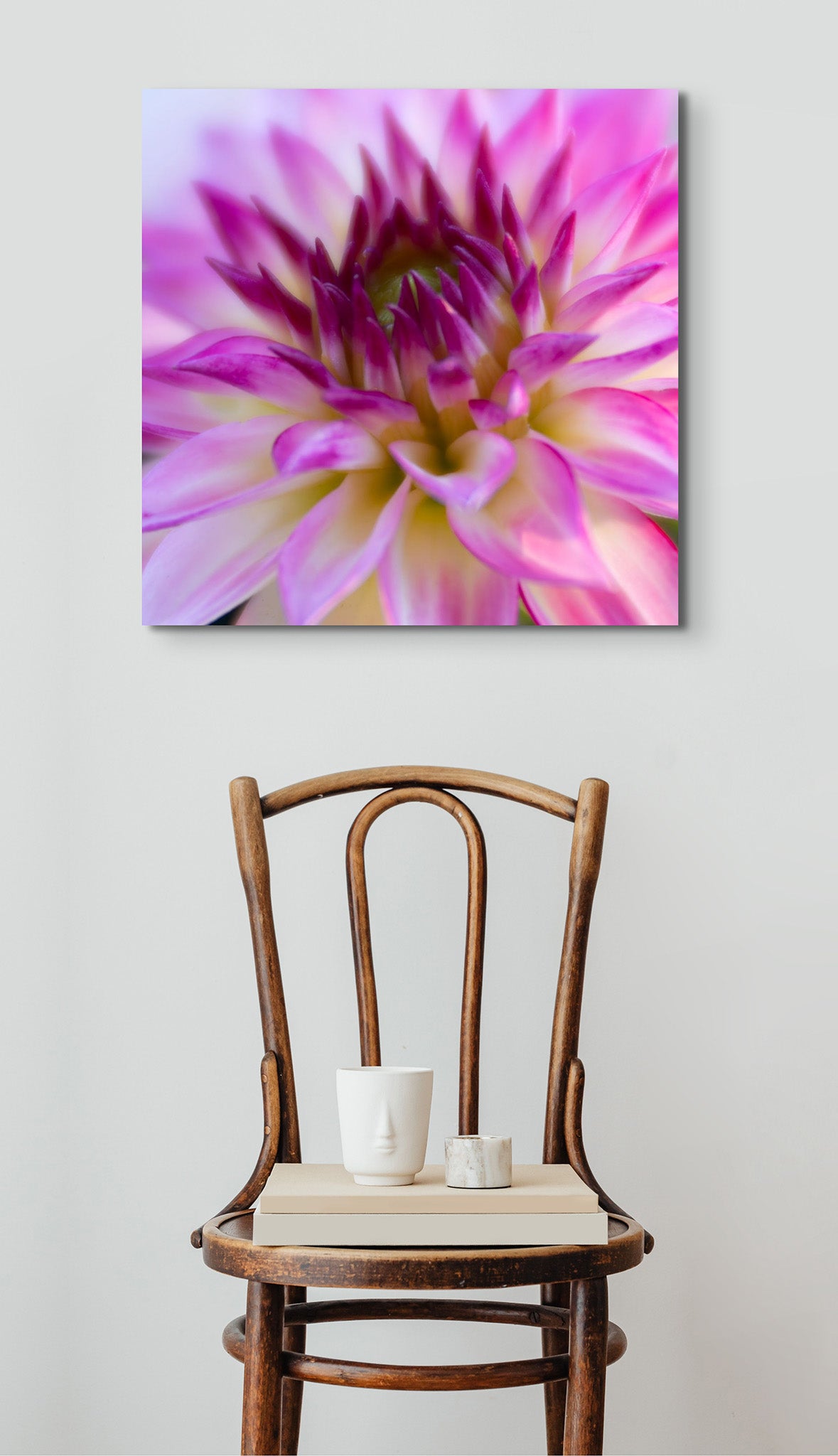 Picture on the wall of a room. There is a chair in the middle of the room. The picture is an up-close macro fine art photograph of a purple and white dahlia flower by Cameron Dreaux. 