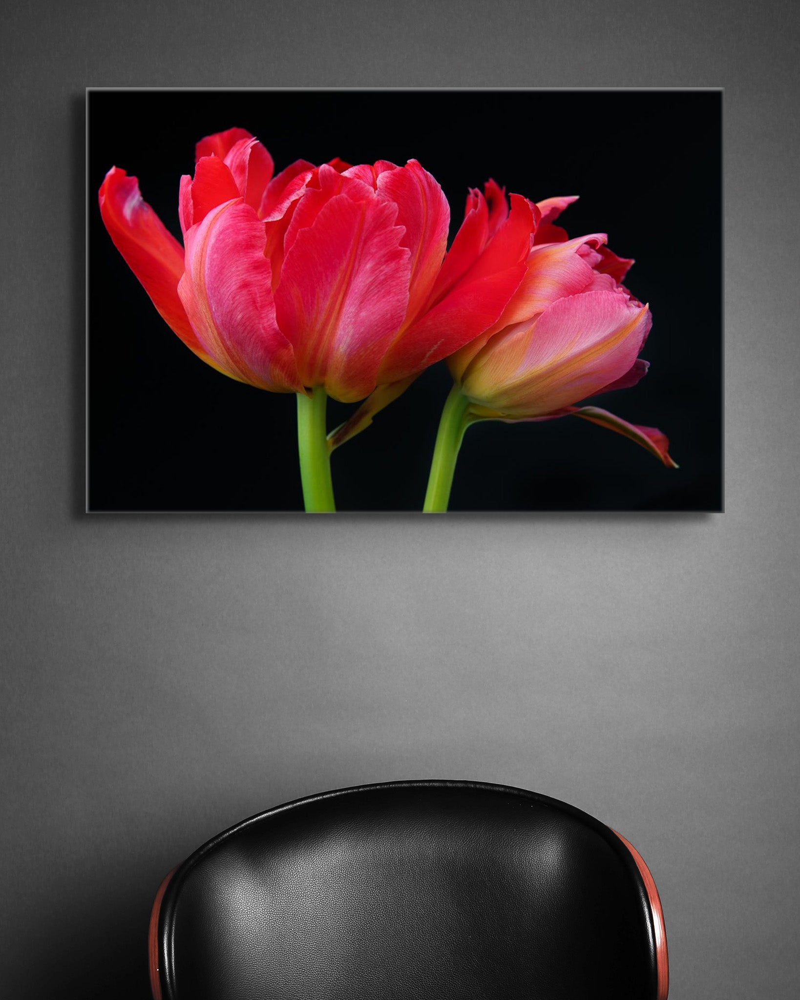 A picture on the wall of a room. The picture is a flower photograph called "Is it Dark Out" by Cameron Dreaux.