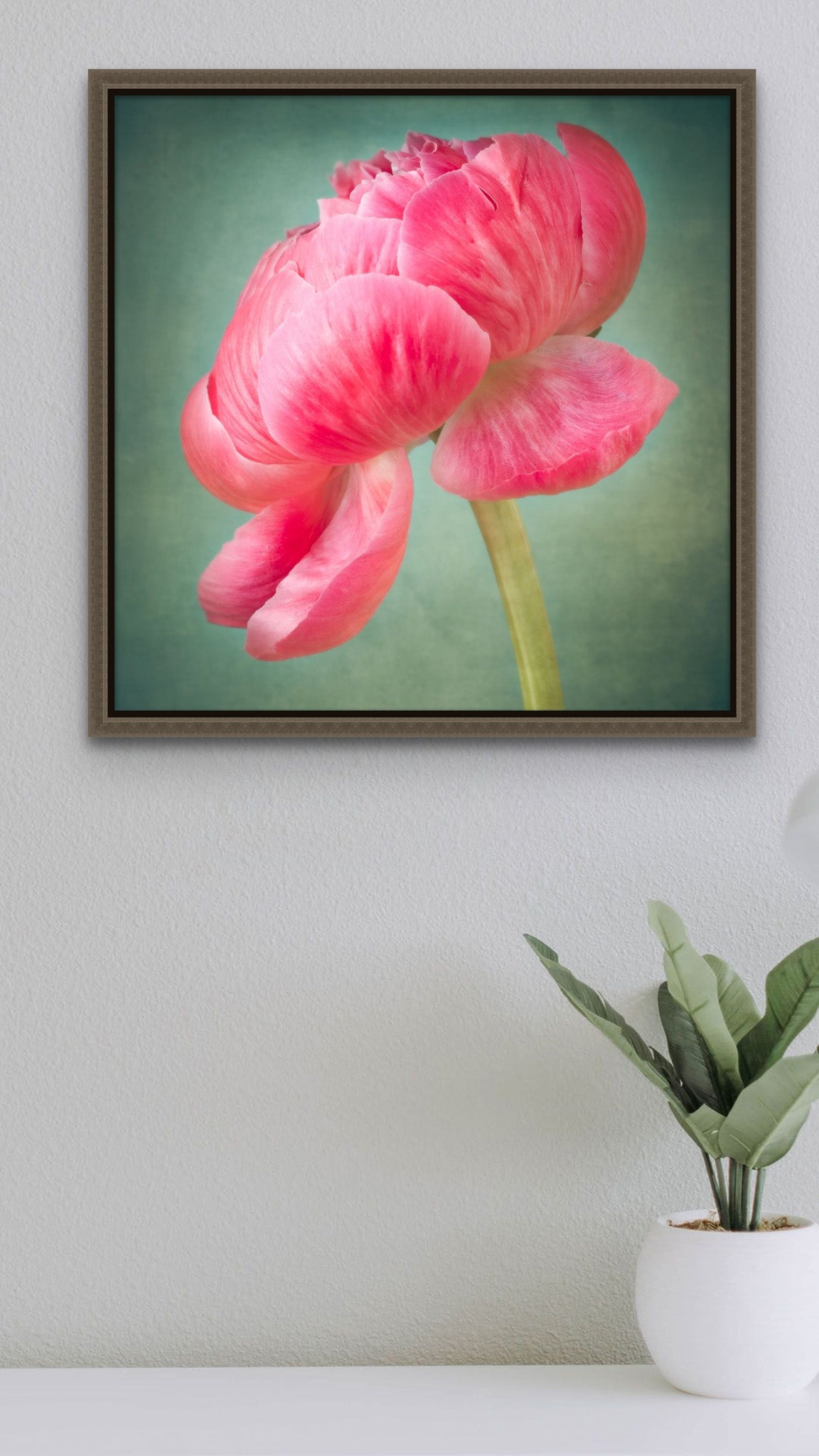 Picture hanging on a wall. Under the picture, there is a countertop with a plant. The picture is a metal print photograph of a pink peony flower on a greenish background by photographer Cameron Dreaux. 