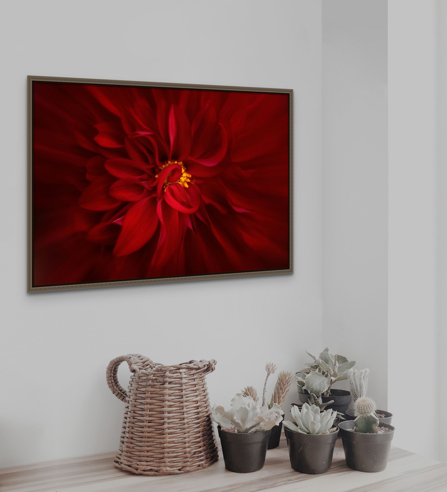 Art hanging on the wall of room. The art is photography by Cameron Dreaux titled Red Dahlia No. 1. It is inside a Natural Barnwood Frame. 