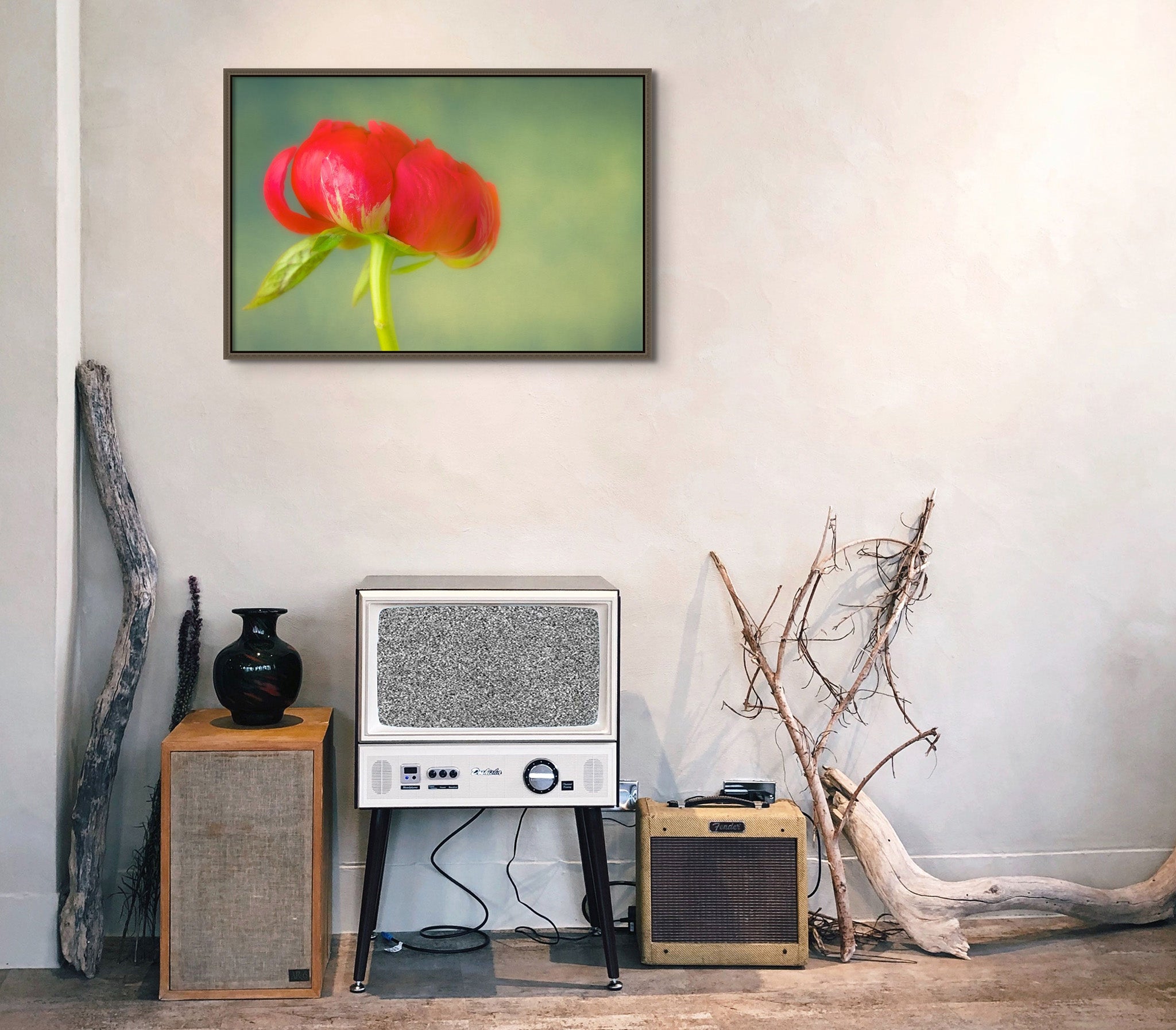 Picture hanging on a wall in a room with an old tv and other miscellaneous objects in the corner of the room. The picture on the wall is a flower photograph of a Red Peony on green background by Cameron Dreaux. 