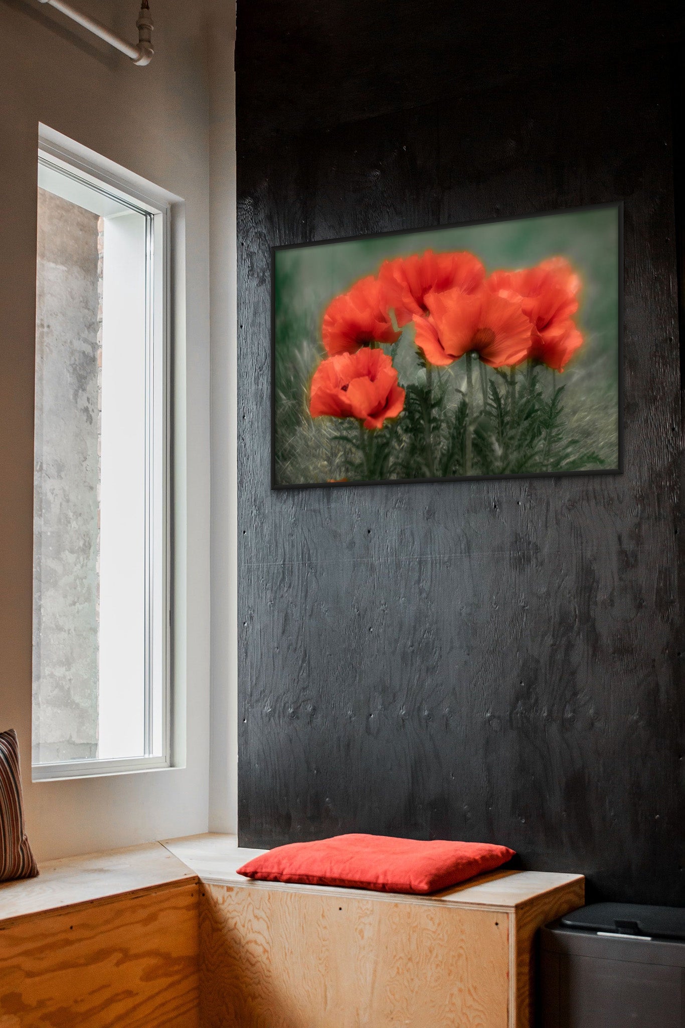 Picture hanging on the wall of room. There is a window with light coming through and the light is falling on the picture. The picture is a photograph of poppy flowers against green background by Cameron Dreaux. 